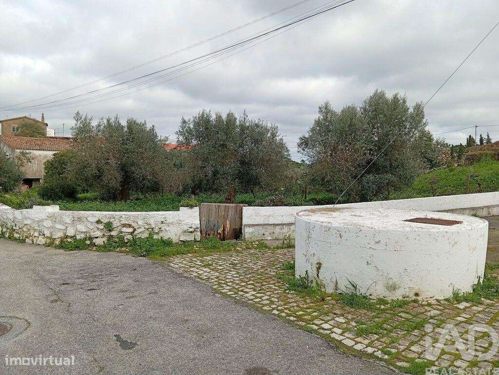 Terreno Agrícola em Ameixial - Grande imagem: 4/4