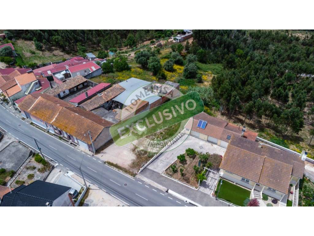 Terreno no Paião, Figueira da Foz, Coimbra - Grande imagem: 4/19