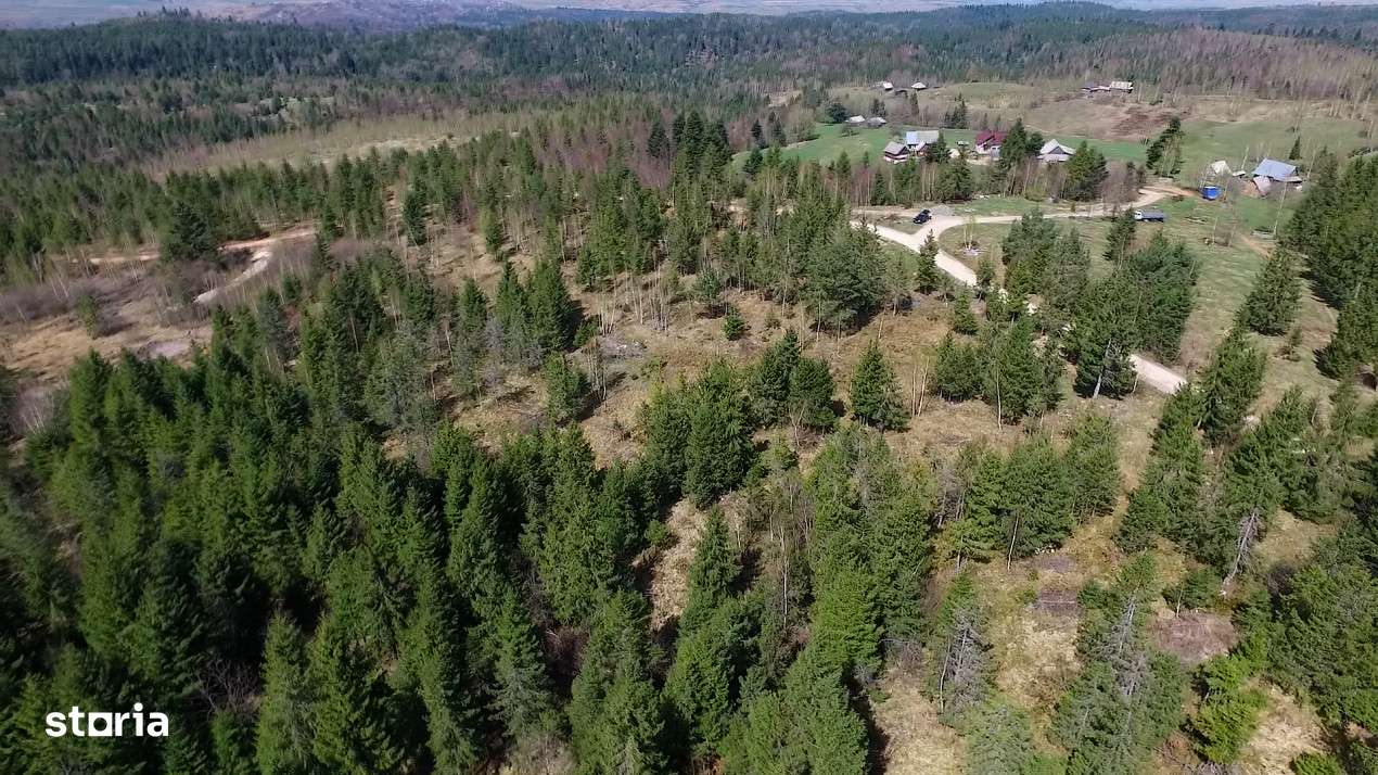 Teren intravilan 3,584mp Calatele Padure-9