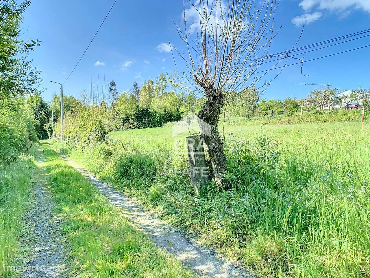 Terreno rústico em Paços, Fafe - Grande imagem: 4/9