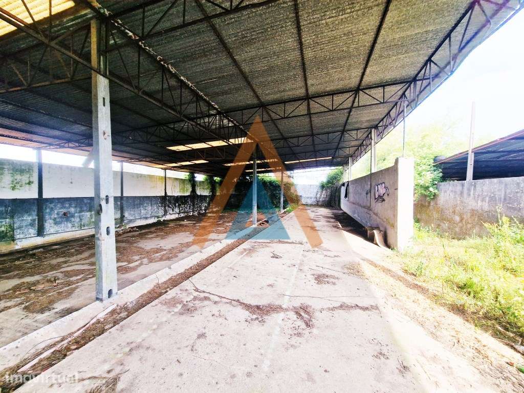 Maravilhosa quinta com casa e terreno-27