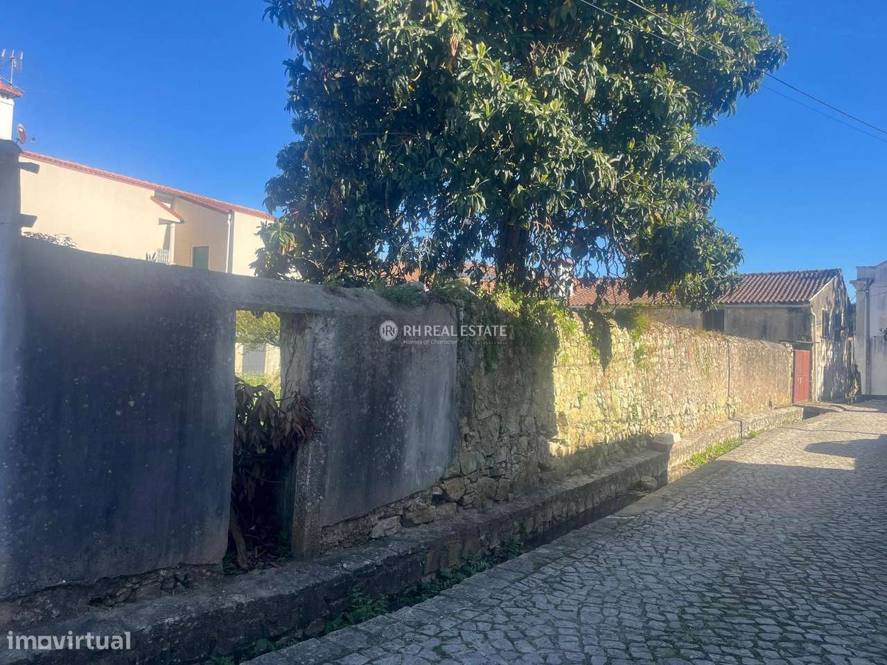 Terreno Urbano com Excelente Potencial de Construção no Centro de Ançã-2
