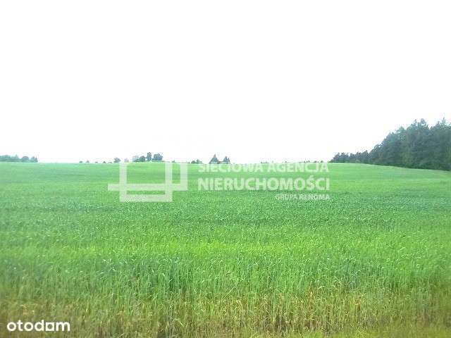 Piękna Działka Na Kaszubach Blisko Jeziora - Pełny obrazek: 4/9