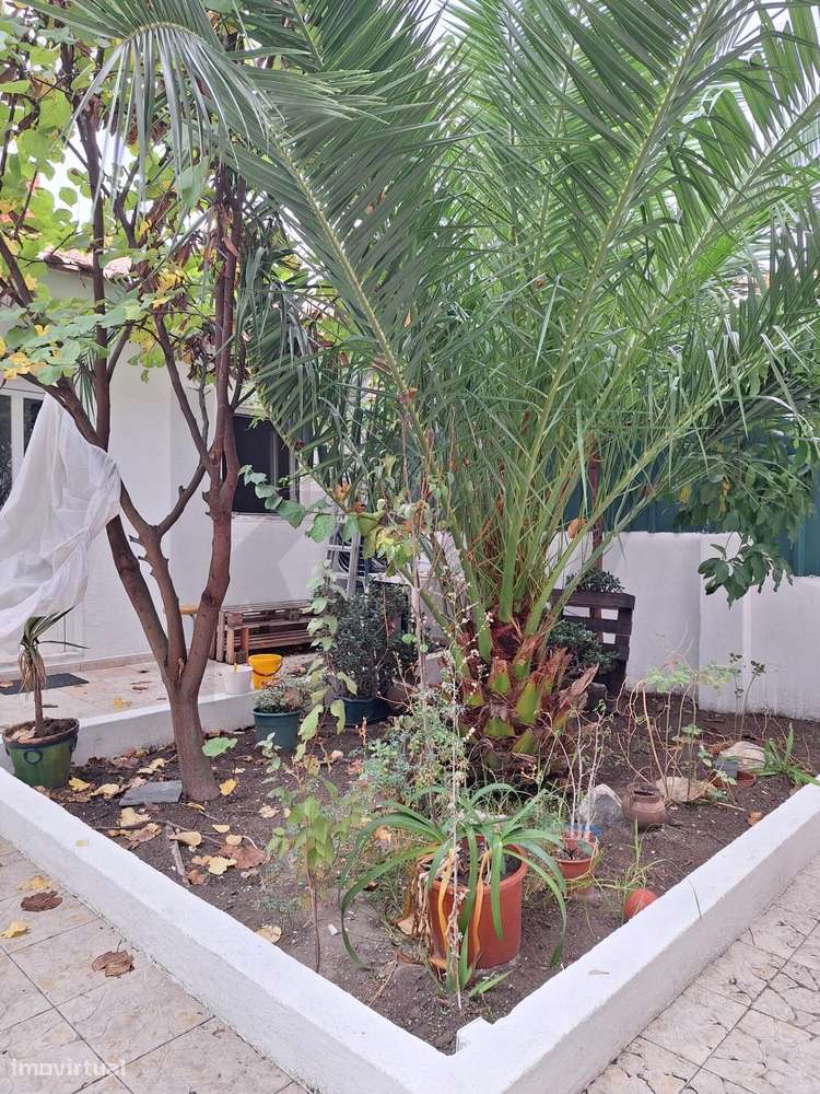 T2 Remodelado com Jardim e Anexo T1 em Portas de Benfica - Grande imagem: 4/29