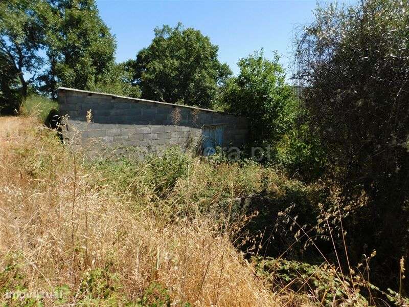 Terreno Rústico / Fundão, Capinha - Grande imagem: 4/6