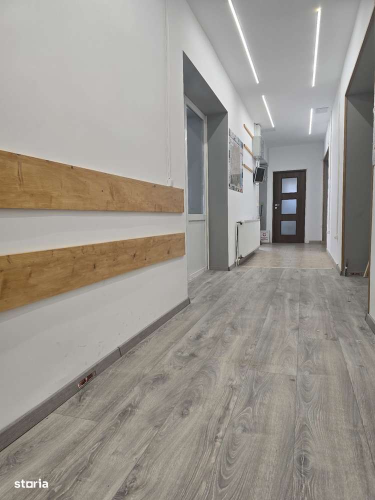 Hala depozitare sau mica productie, zona Zizinului, 400mp-8