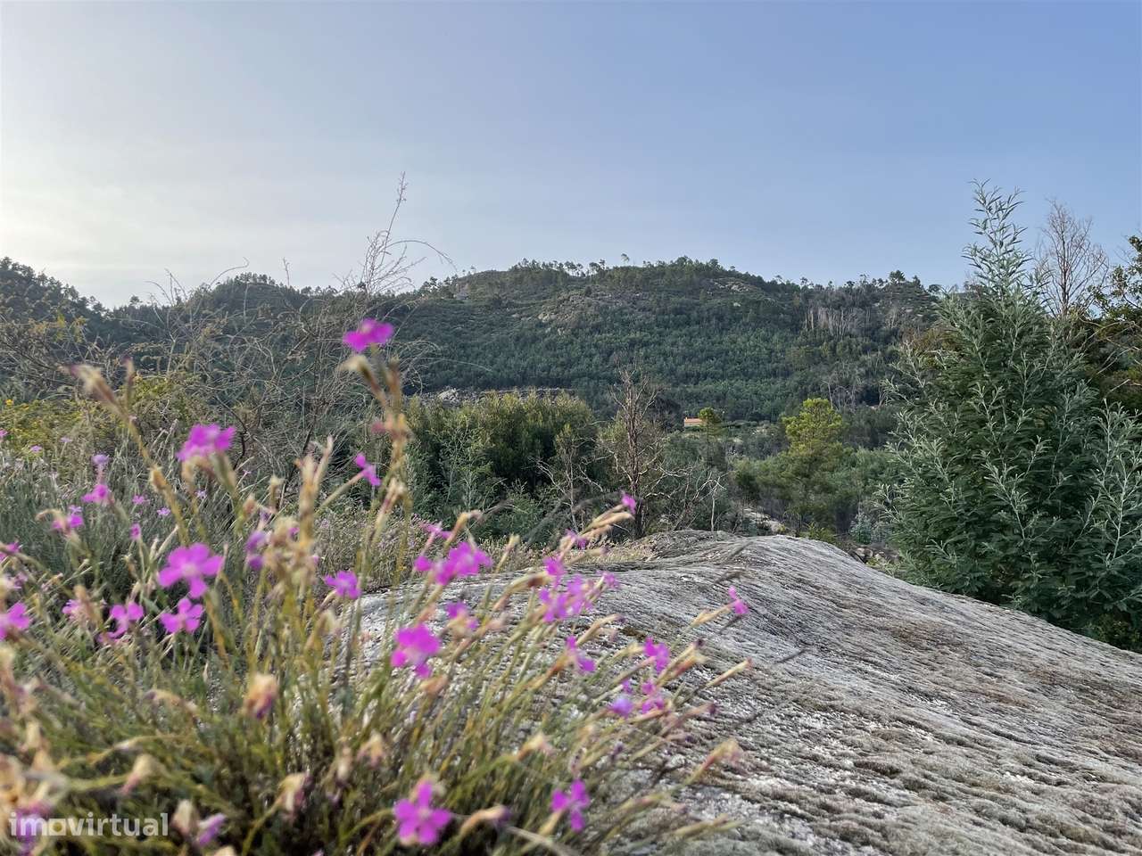 Moradia Isolada T3 Venda em Louriçal do Campo,Castelo Branco-56