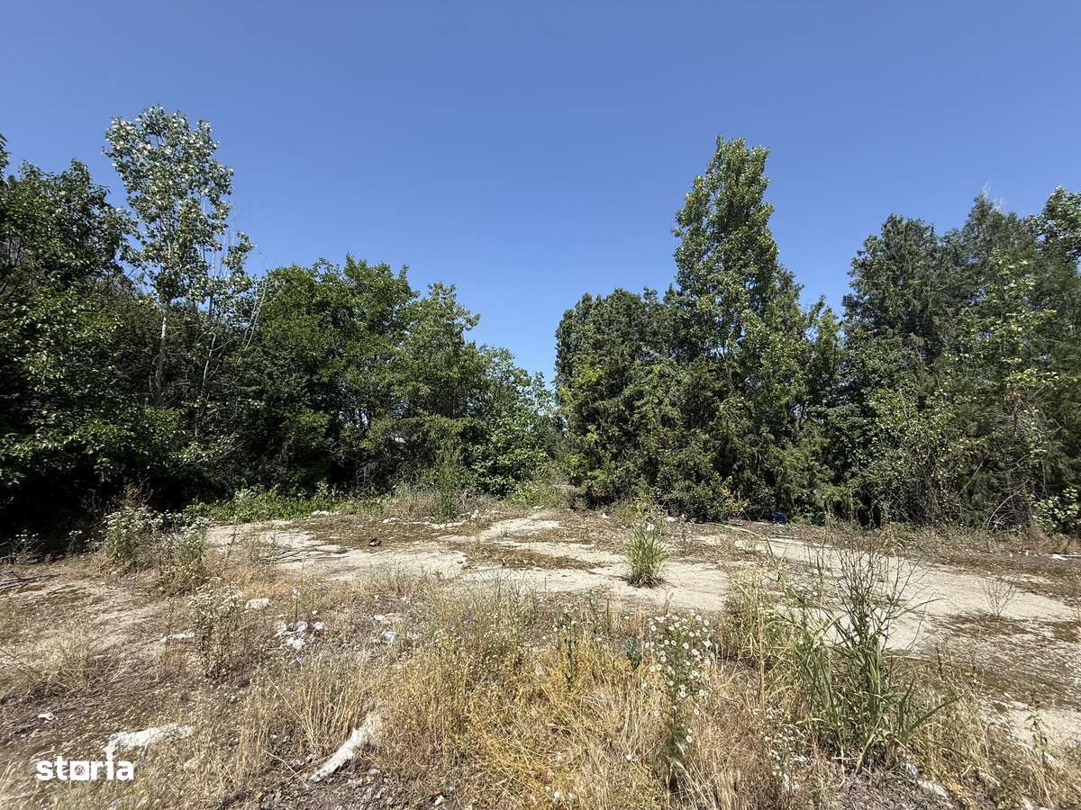 VÂNZARE Teren Case|Blocuri - 2300 mp-|Dezvoltare Bragadiru - Imagine principală: 4/9