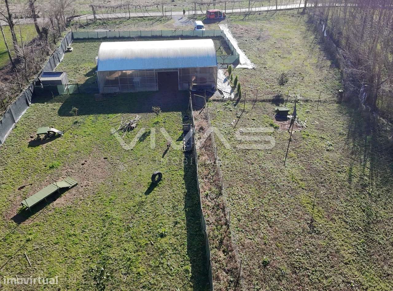 Terreno Rústico  Venda em Lamas,Braga - Grande imagem: 2/4