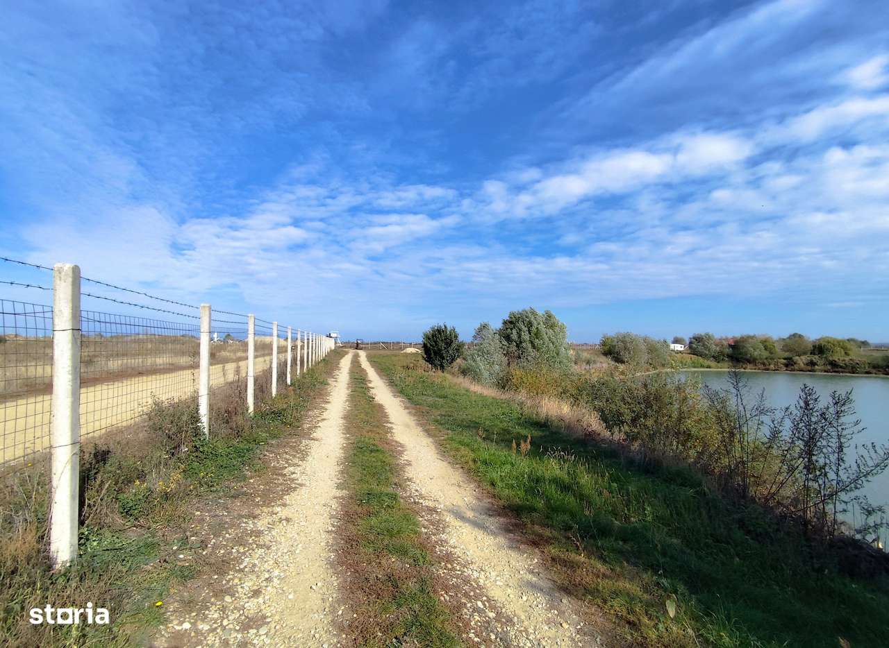 Balta de Pescuit & Cabana din Busteni – Refugiu de Vis langa Oradea-19