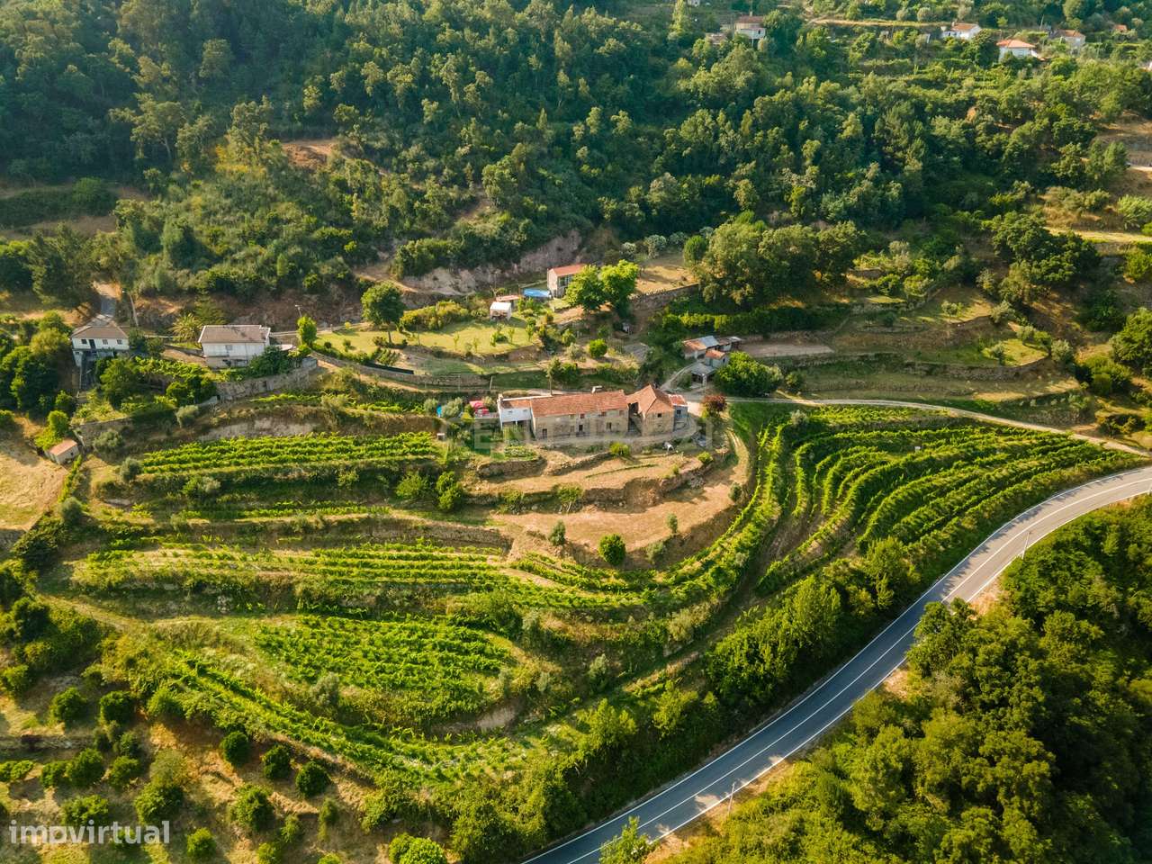 Quinta com Vista Deslumbrante sobre o Rio Douro – Projeto Aprovado par-11