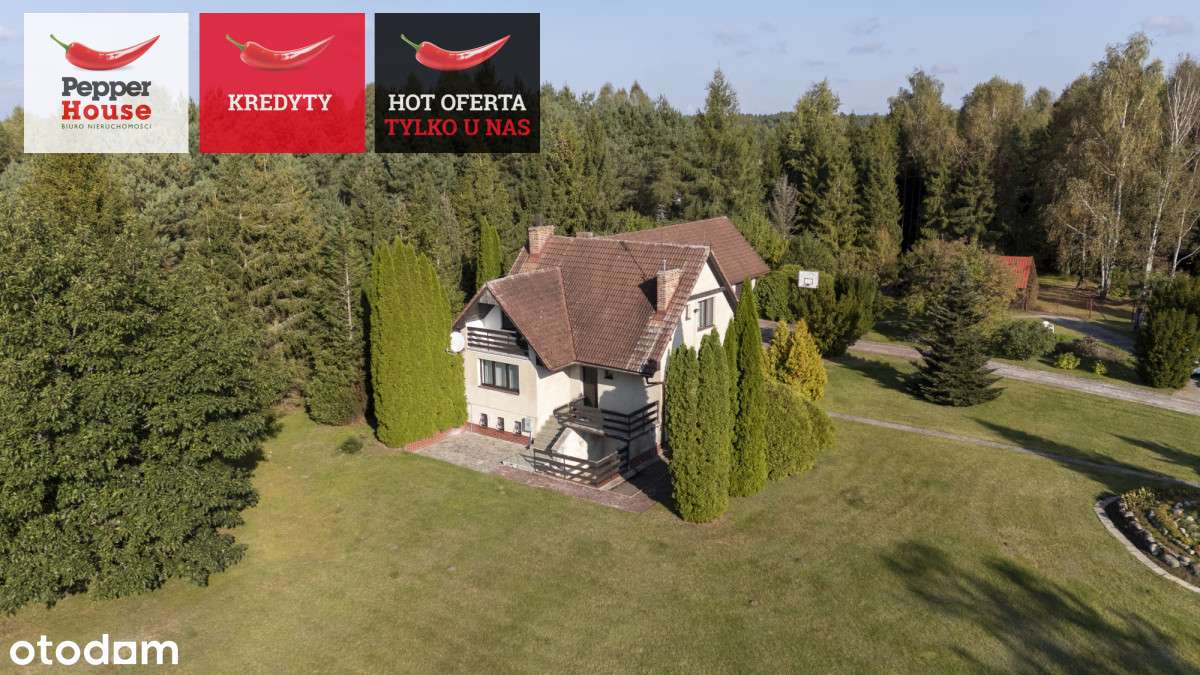 Piękna Działka Z Domem i Lasem W Sercu Kaszub! - Pełny obrazek: 2/20