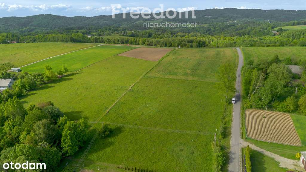 Działka pod budowę domu Rzepiennik Strzyżewski! - Pełny obrazek: 5/11