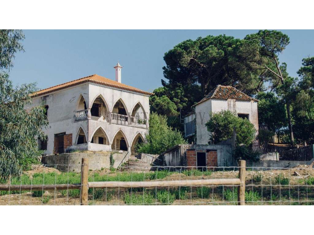 Terreno com projeto aprovado, 5m das praias. - Grande imagem: 3/27