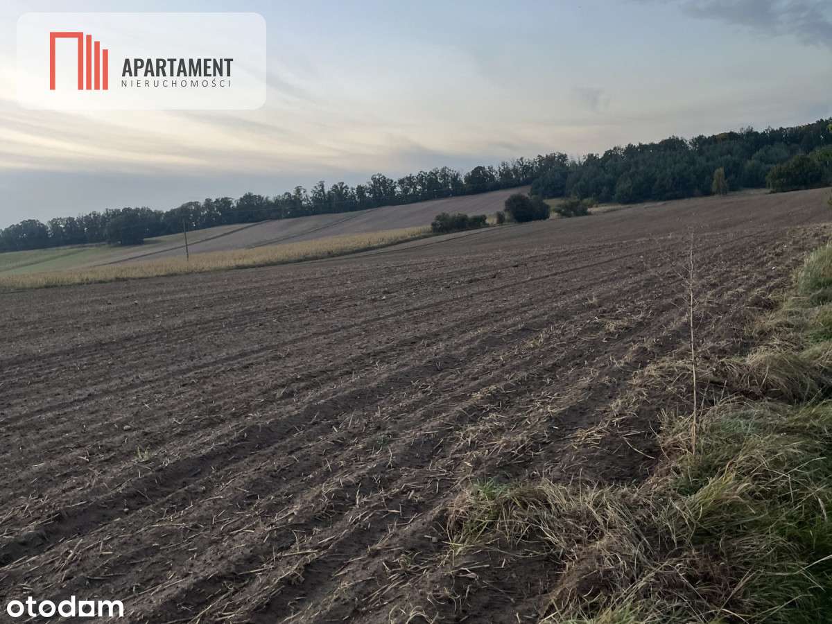 Działki z WZ - Zielonczyn - Pełny obrazek: 2/5