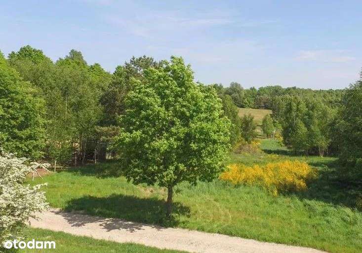 NOWA CENA Działka budowlana nad jeziorem | Salinko jezioro salińskie - Pełny obrazek: 2/3