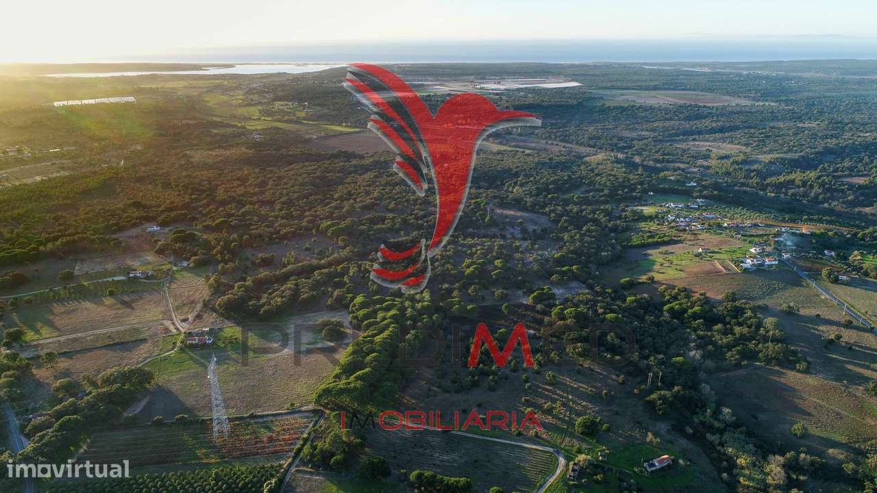 Quinta com ruína a 10km da Lagoa de Santo André - Grande imagem: 4/11