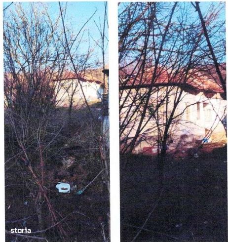 Casa si teren Valea Mare Podgoria, cota 1/2 , ID: R2618541-7