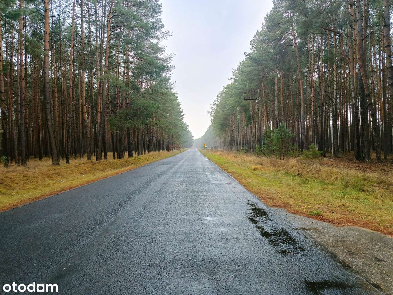 Działka z linią brzegową w Mężyku - Biała-2
