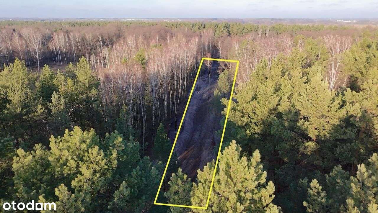 Działka, 5 000 m², Kąck - Pełny obrazek: 1/5