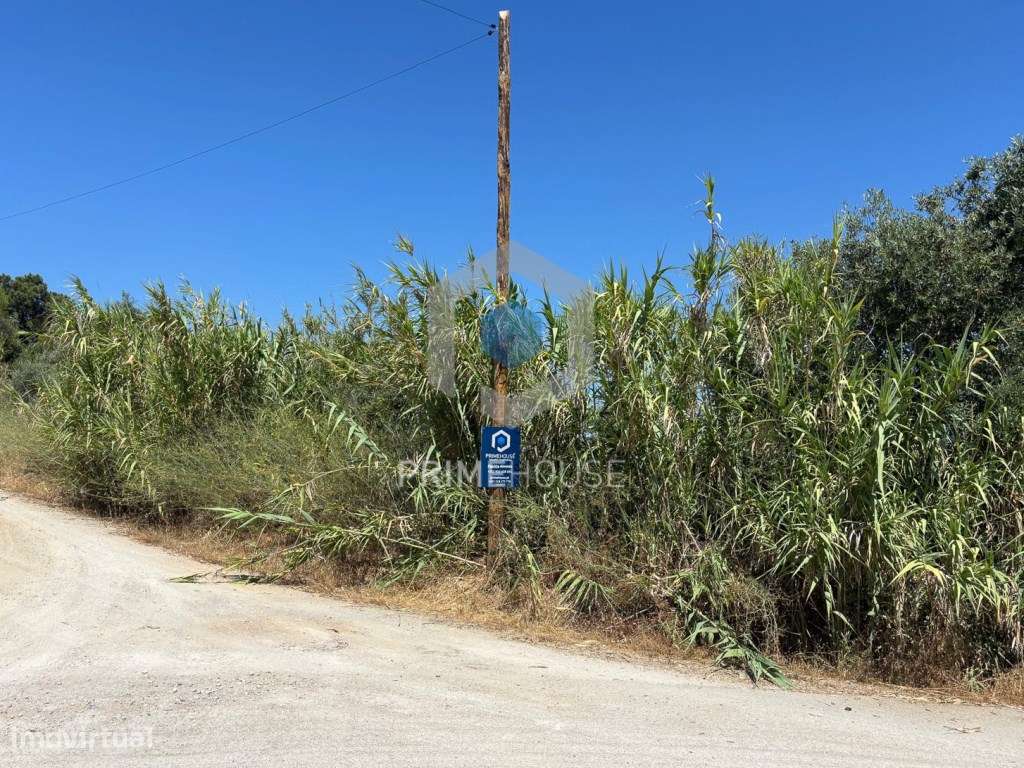 Terreno para Habitação - Grande imagem: 2/17