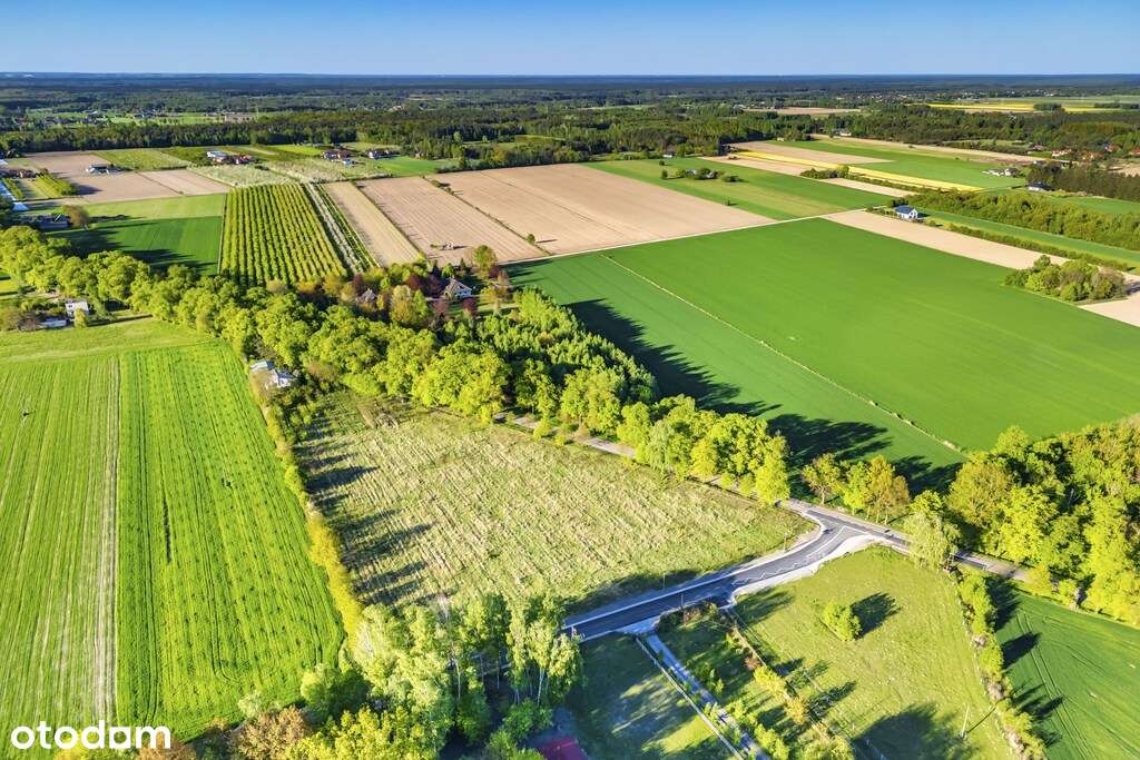 Działka budowlana z warunkami zabudowy (WZ) - Pełny obrazek: 5/12