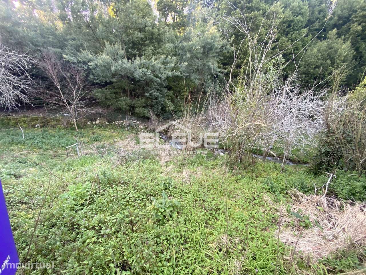 Casa de Campo em Venade-11