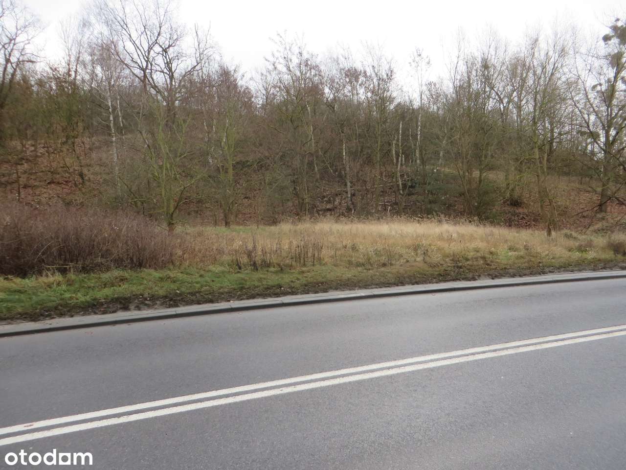 Działka w Czepinie przy ul. Gryfińskiej z warunkami zabudowy - Pełny obrazek: 3/8