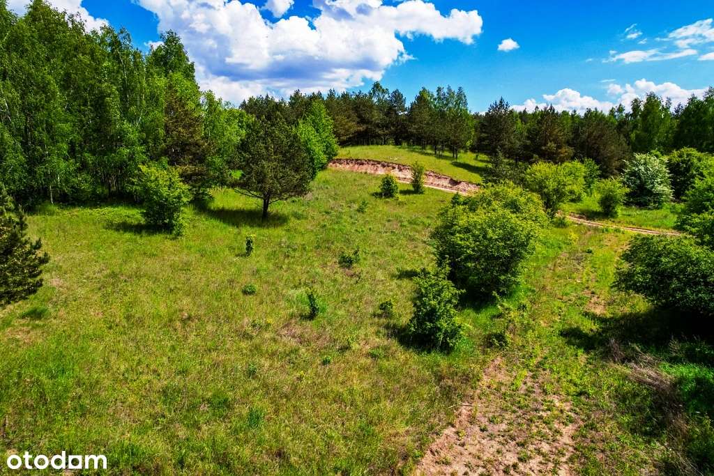 Działki budowlane w otoczeniu drzew  z dostępem do jez. Buwełno-17