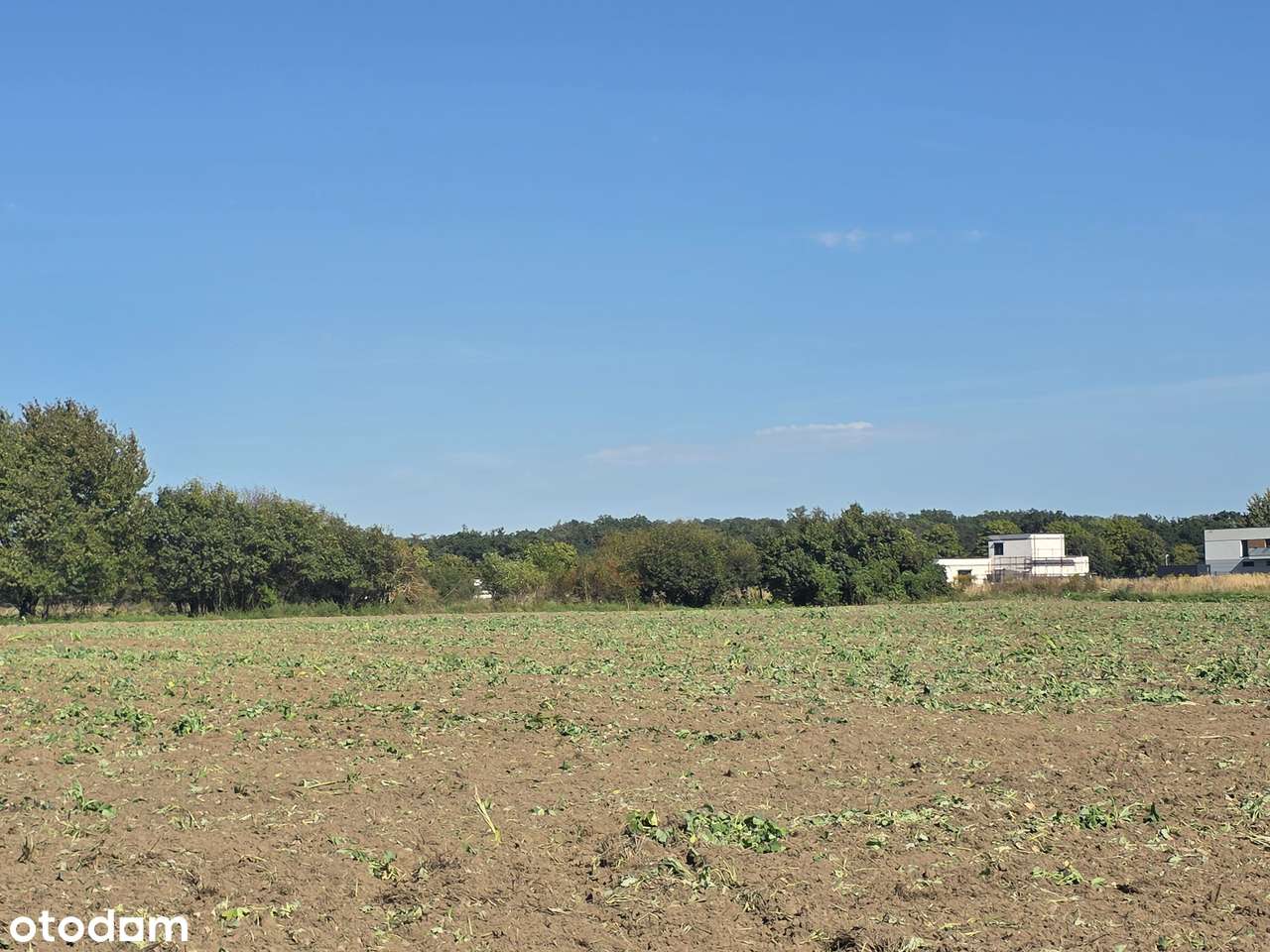 Duża działka usługowa Wschowa (woj. lubuskie) - Pełny obrazek: 4/8