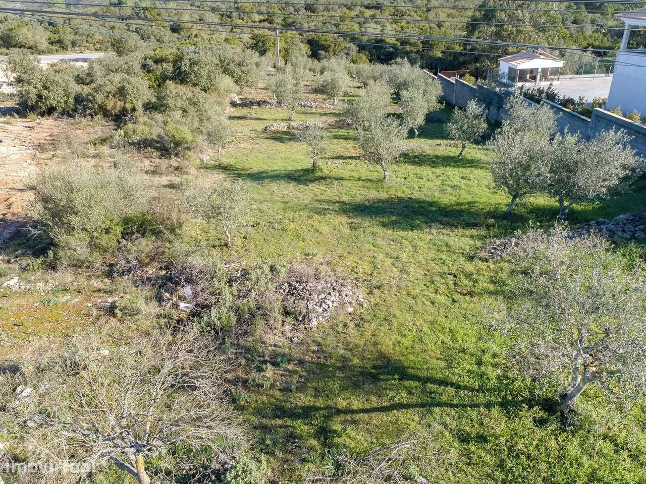 Lote terreno na zona da Ortiga em Fatima com 1500 m2 - Grande imagem: 4/9