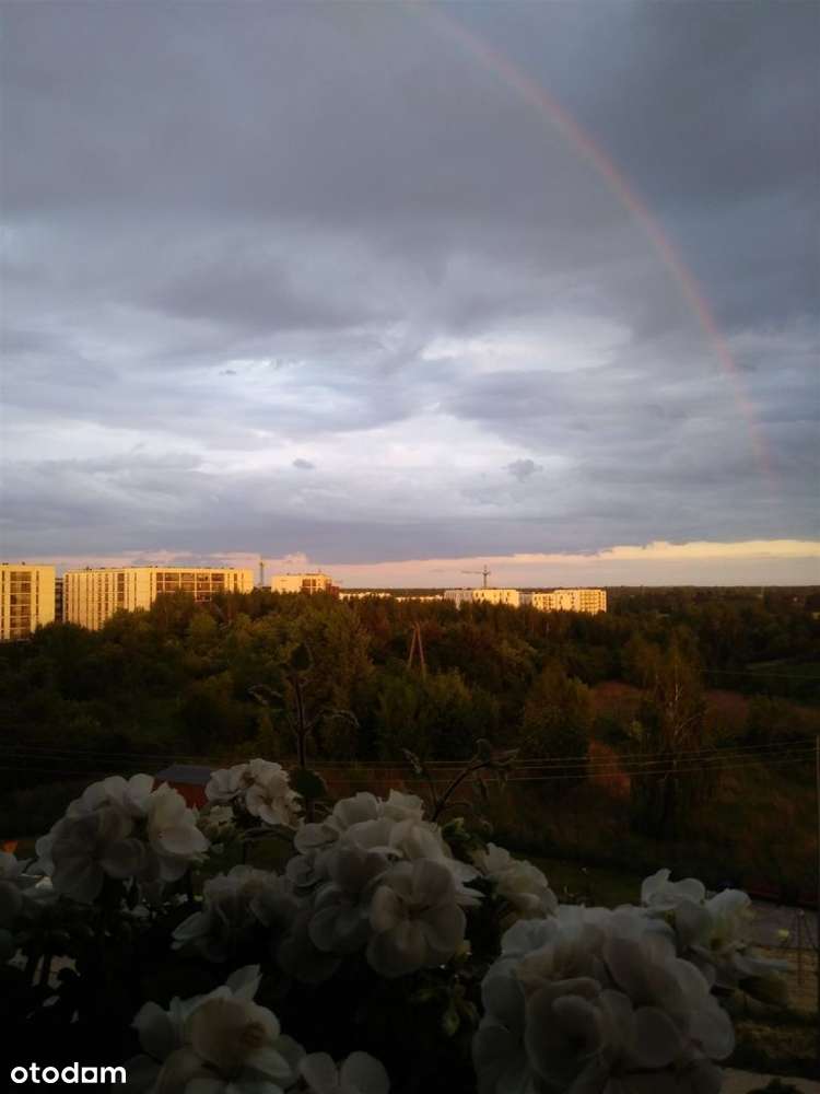 *Węglin, 3 pokojowe, duży balkon, winda, 2 Mp*-15