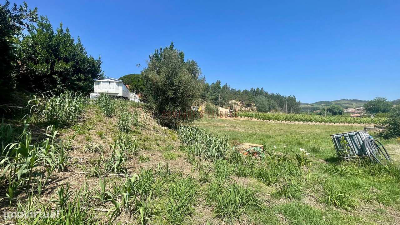 Terreno para construção localizado na Aldeia Grande, Maxial-5