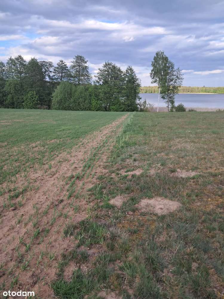 Działki na sprzedaż z warunkami zabudowy z dostępem do jeziora. - Pełny obrazek: 4/12