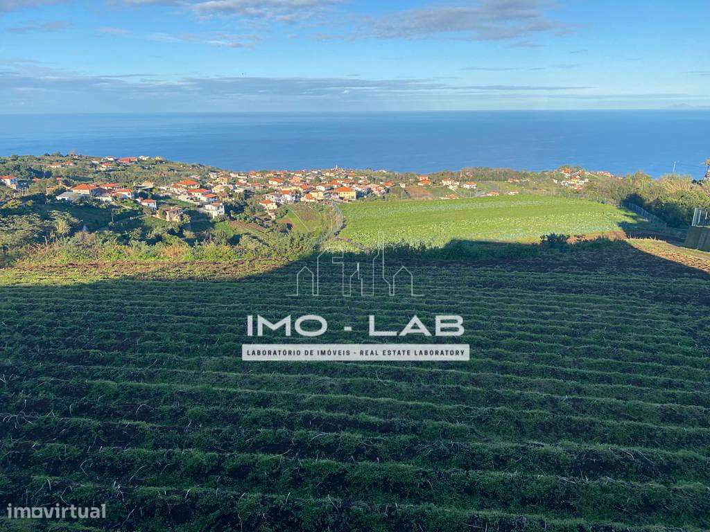 Armazém + 25.566m2 de Terreno Cultivado - São Jorge - Santana-1