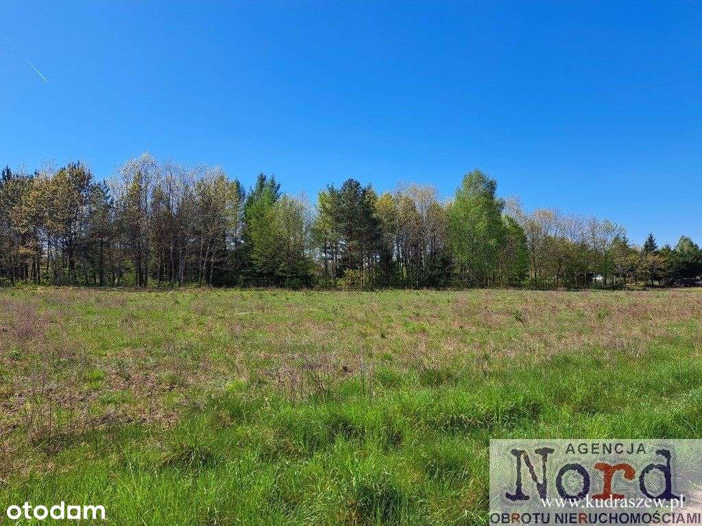 Działka Budowlana, Mołowiste, Jezioro Serwy - Pełny obrazek: 5/12