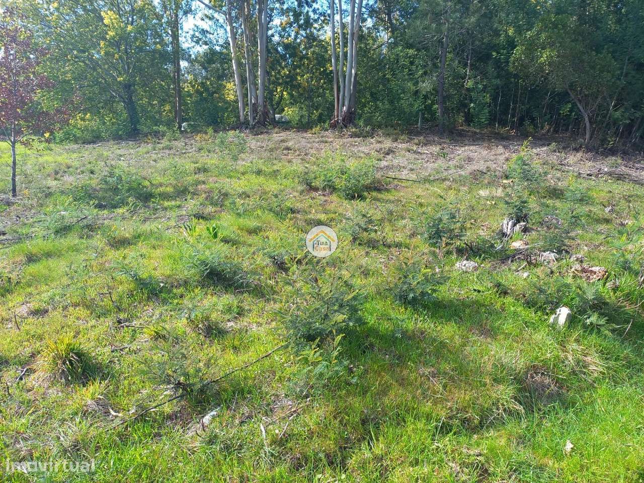 Terreno Rústico - Grande imagem: 4/7