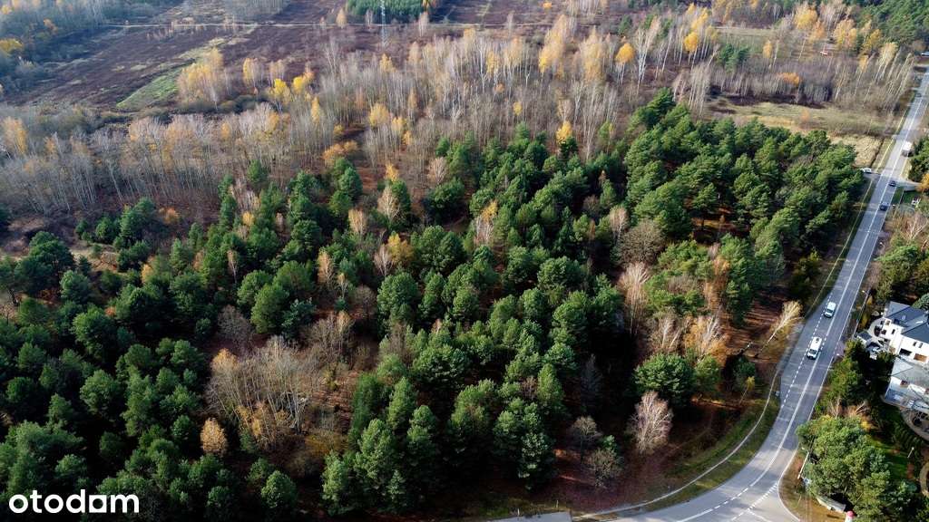 Dąbrowa Leśna, w Kampinoskim parku, MPZP, Unikat!!-8