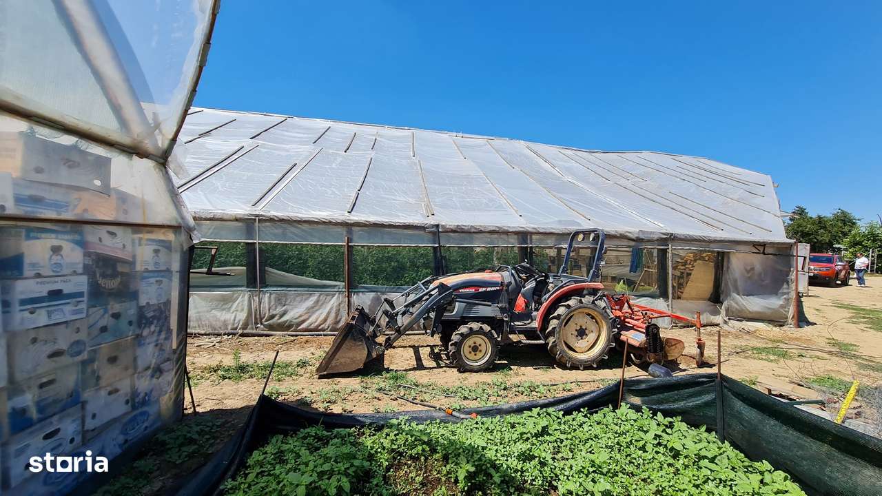 Afacere la cheie! Incasari din prima zi!!! - Imagine principală: 5/10