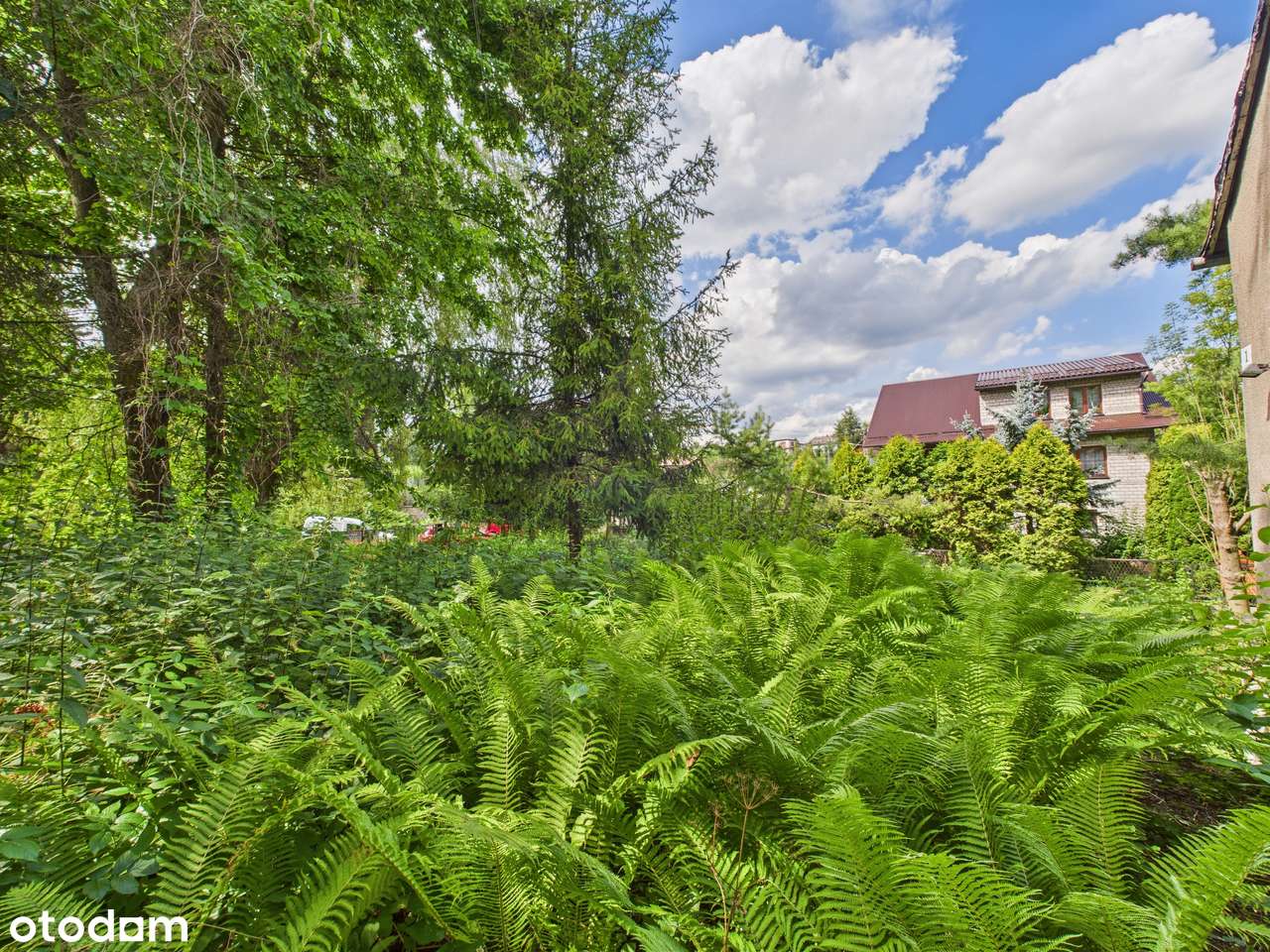 Zielona Działka z Własnym Źródłem i Stawikiem w Świetnej Lokalizacji!-6