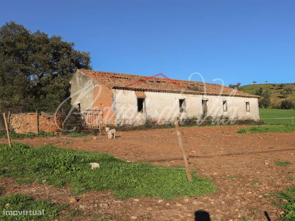 Monte Alentejano de 36ha com 3 ruinas - Pego das Pias - Odemira-4