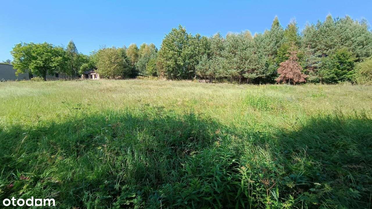 Piękna Działka W Zacisznej Okolicy! Oaza Zieleni I - Pełny obrazek: 5/15