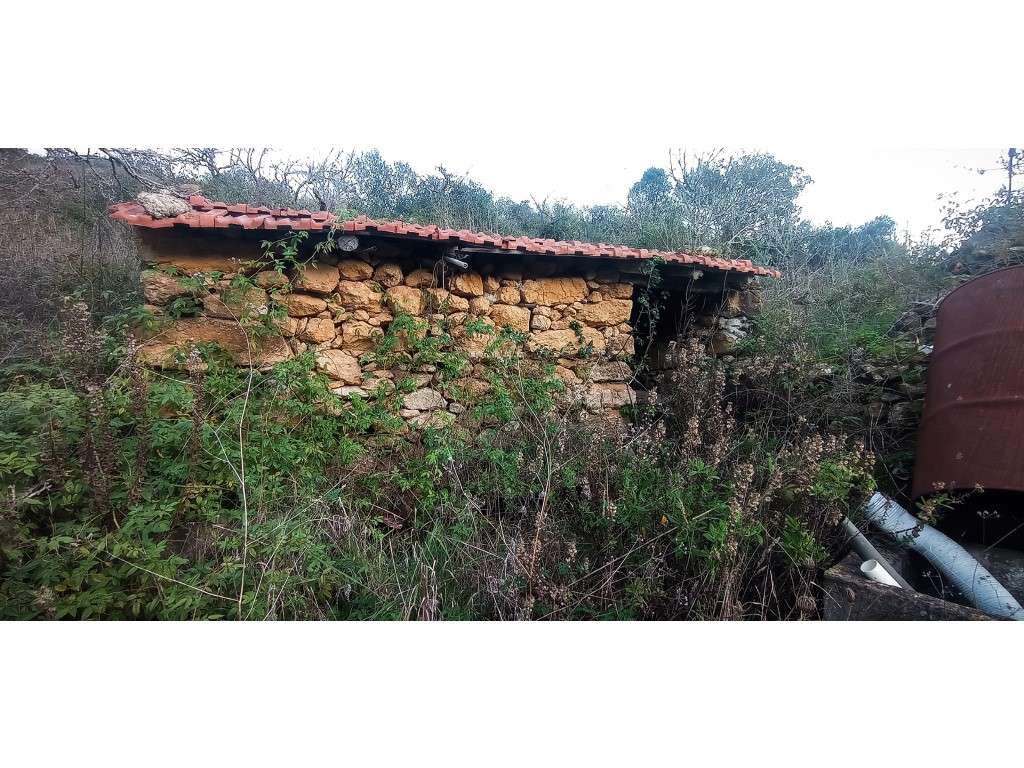 Quintinha a 10km das praias em Cheleiros - Grande imagem: 5/20