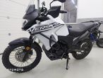 Kawasaki Versys-X 300 - 2