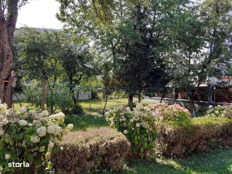 Casa 3 camere, teren 3625 mp, toate utilitatile, Sacele, Brasov - Imagine principală: 5/18