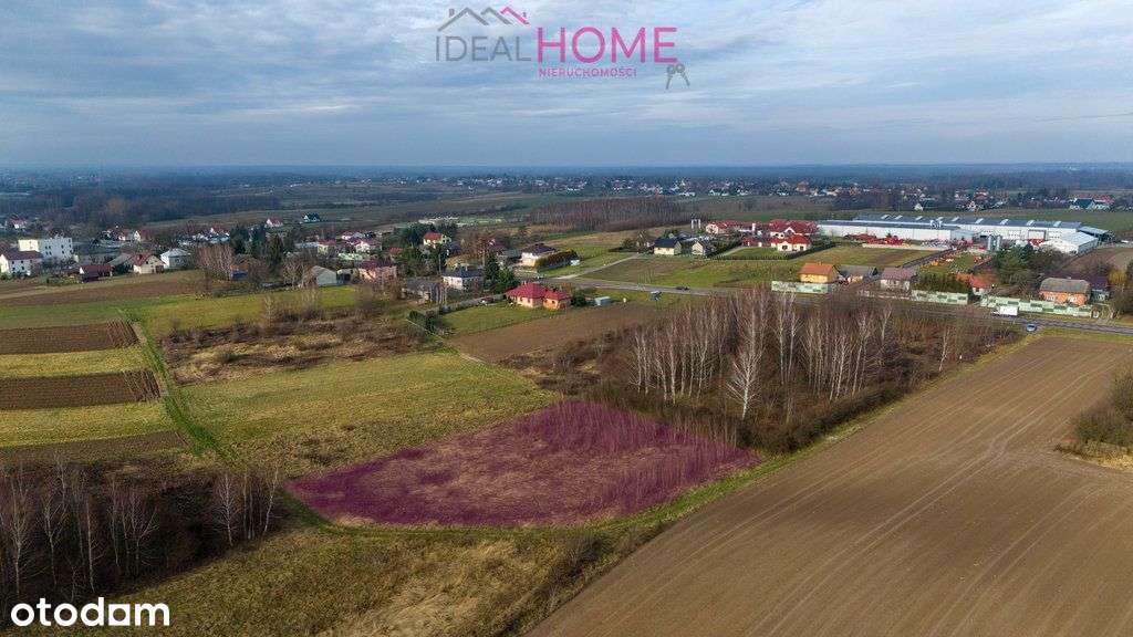 Działka na sprzedaż - Olchowa-8