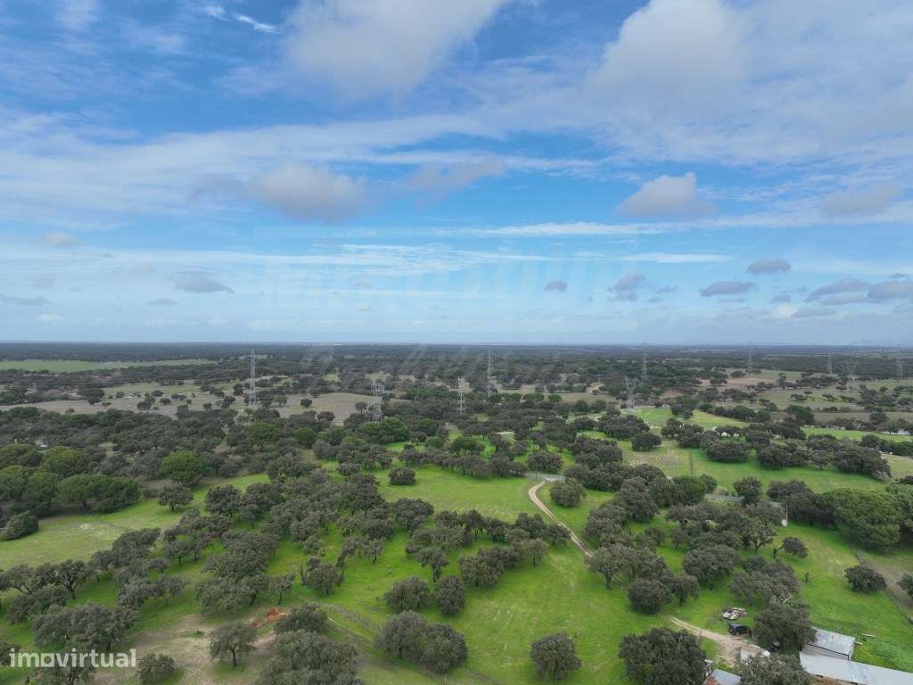 Propriedade Rústica com 11 Hectares junto a Canhestros-29