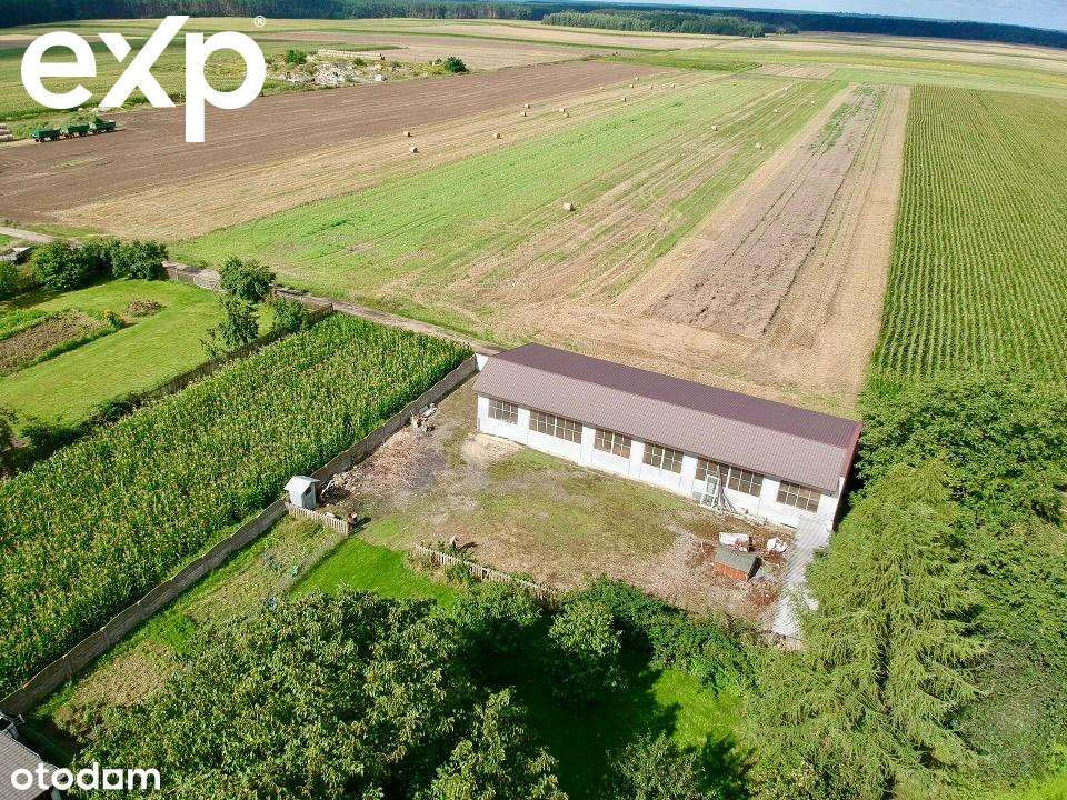 Solidna Hala Magazynowo - Produkcyjna na Sprzedaż - Pełny obrazek: 4/17