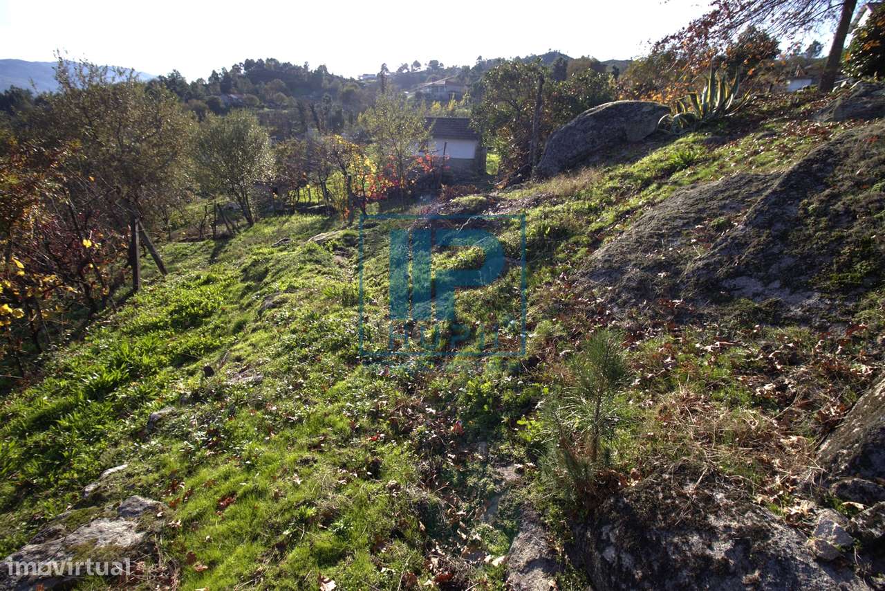 Quinta T3+1 Venda em Penhalonga e Paços de Gaiolo,Marco de Canaveses-53