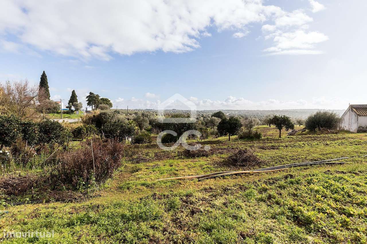 Quinta T5 de 0,9 ha com Moradias e Anexos | Torrão, Alcácer do Sal-49